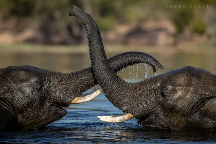 Okavango Delta, Botswana